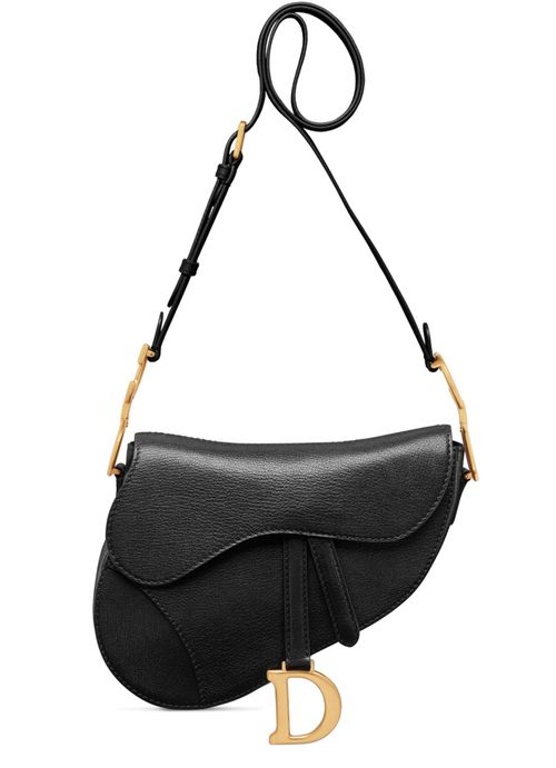 DIOR Medium soft Saddle bag with strap goatskin