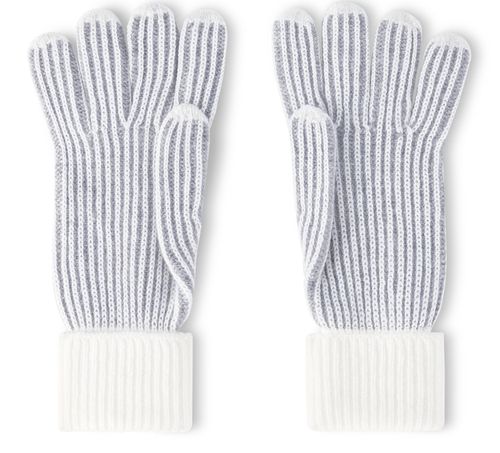 LOUIS VUITTON Neverfull Gloves