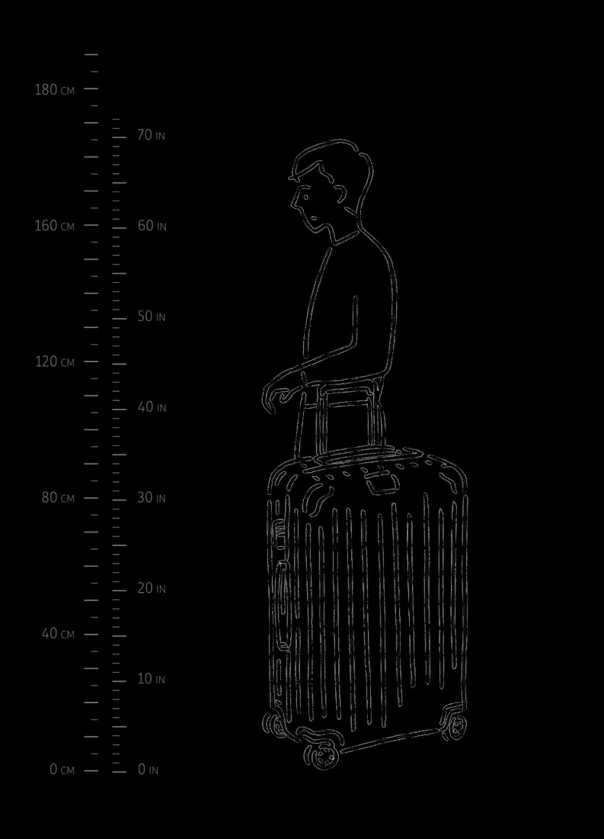 Rimowa 에센셜 체크인 L 여행가방
