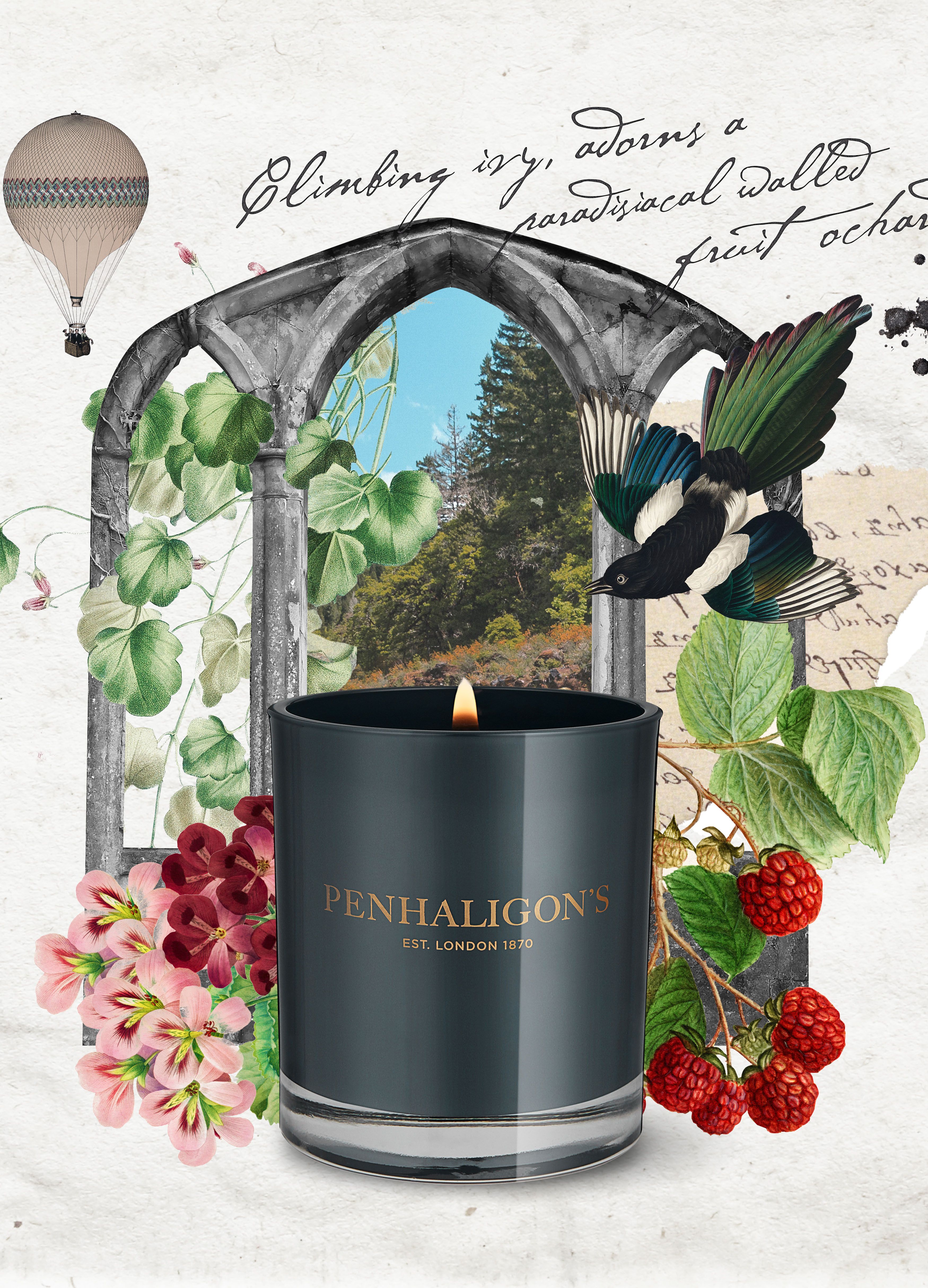 Roanoke Ivy candle 200 g thumbnail 5
