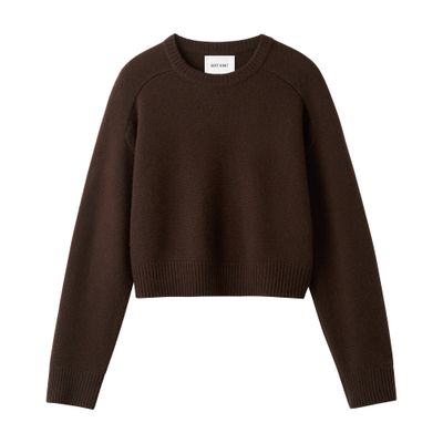 Soft Goat Cashmere Top In Brown