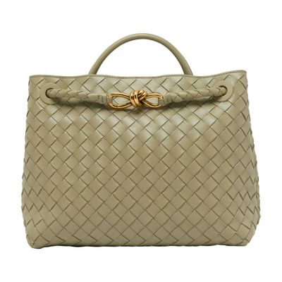 Bottega Veneta Andiamo Medium Bag In Green