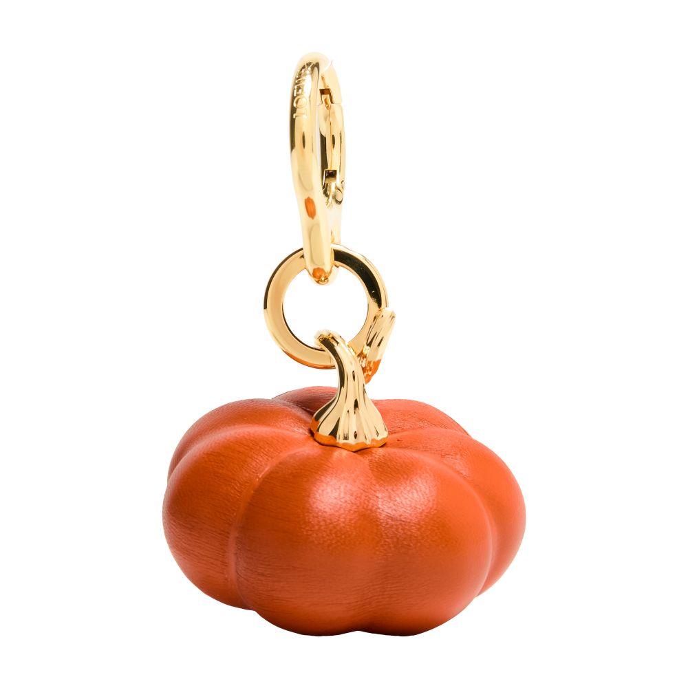 Pumpkin charm thumbnail 6