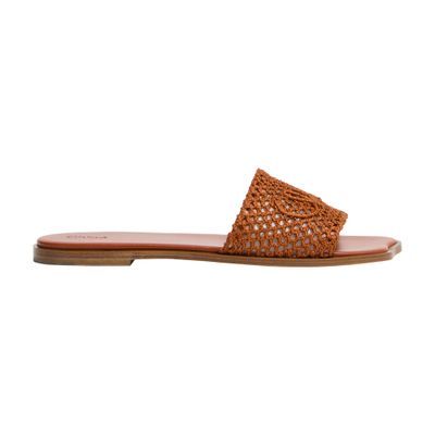 Chloé Flower Sandals In Orange