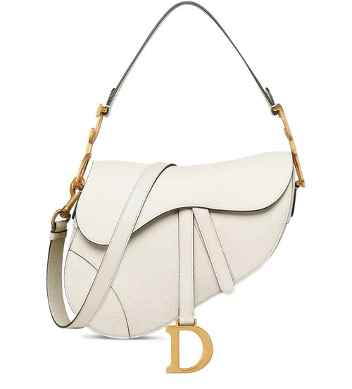DIOR Saddle Bag