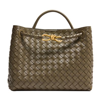 Bottega Veneta Andiamo Medium Bag