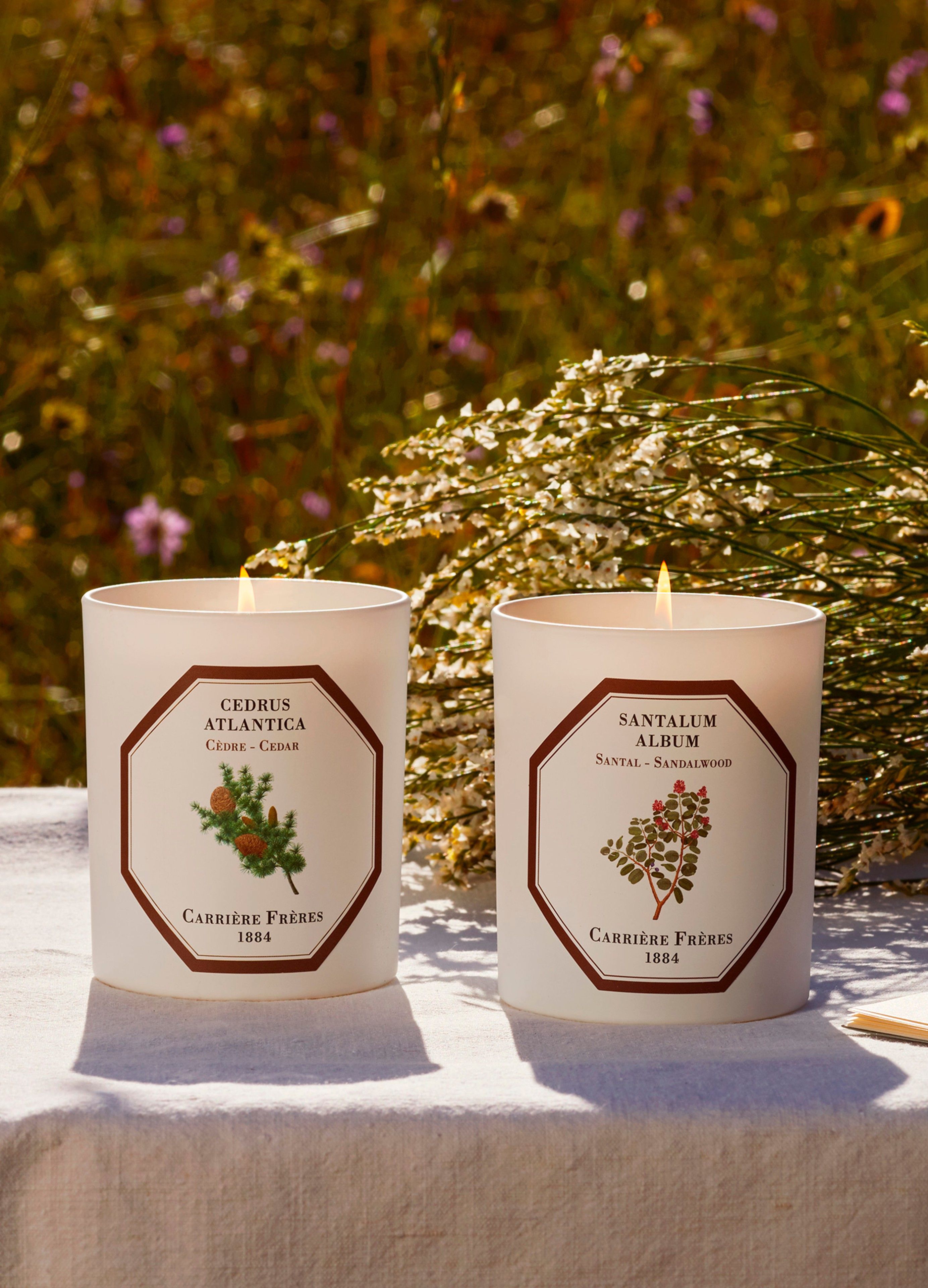 Scented Candle Sandalwood - Santalum Album 185 g thumbnail 4