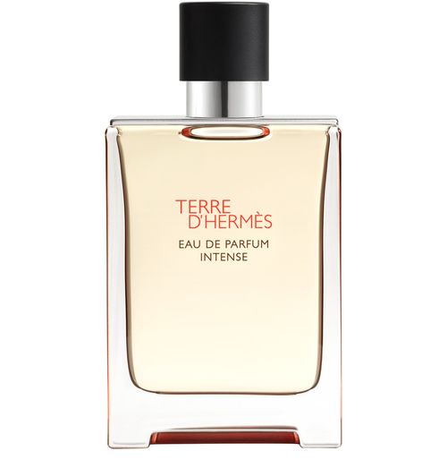HERMÈS Terre d'Hermès, Eau de Parfum Intense 100 ml