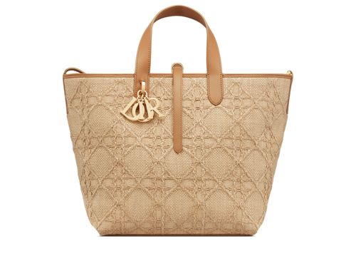 DIOR Medium Dior Toujours Vertical Tote Bag