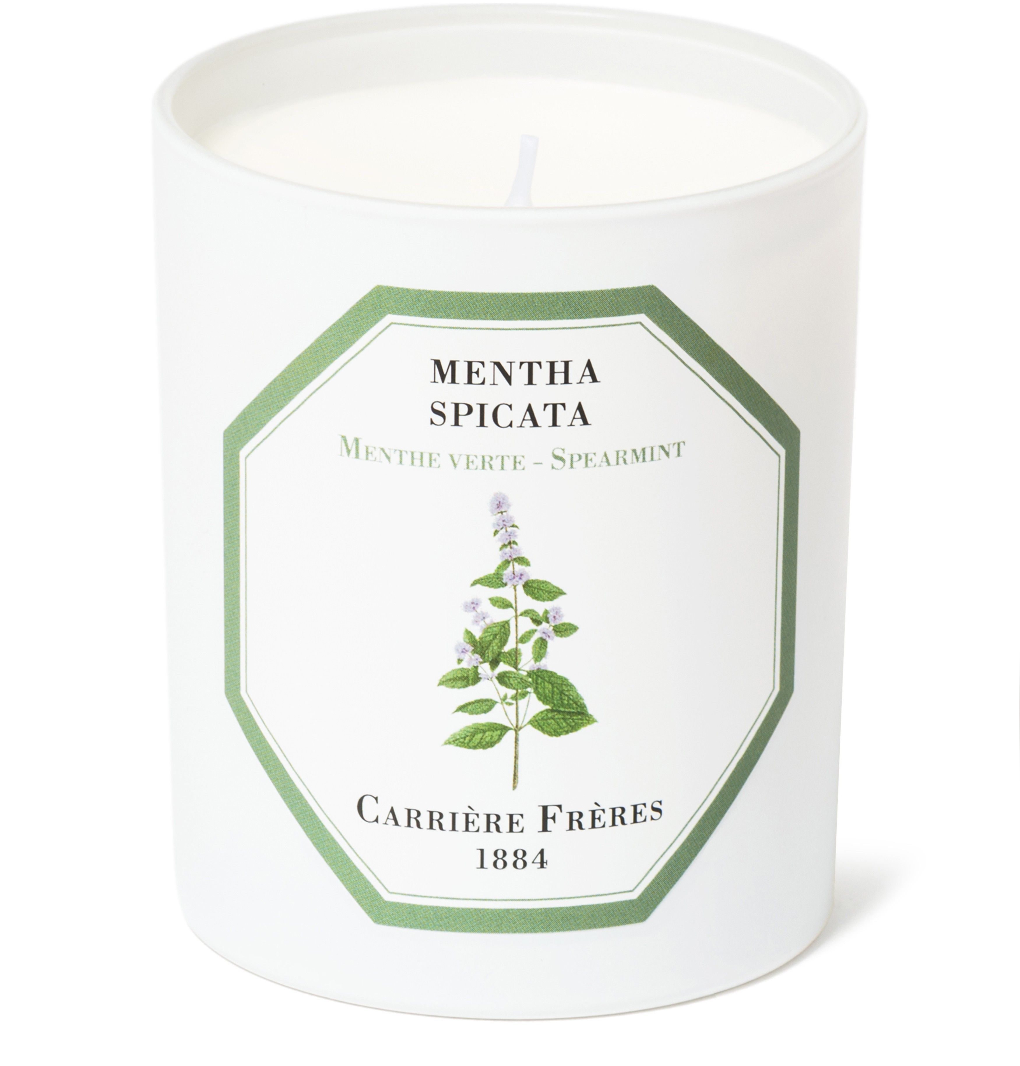 Scented Candle Spearmint - Mentha Spicata 185 g