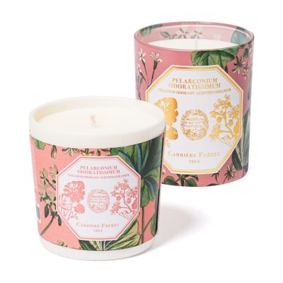 Carriere Freres Candle Refill Pelargonium Odoratissimum - Scented Geranium - 185g In No_color