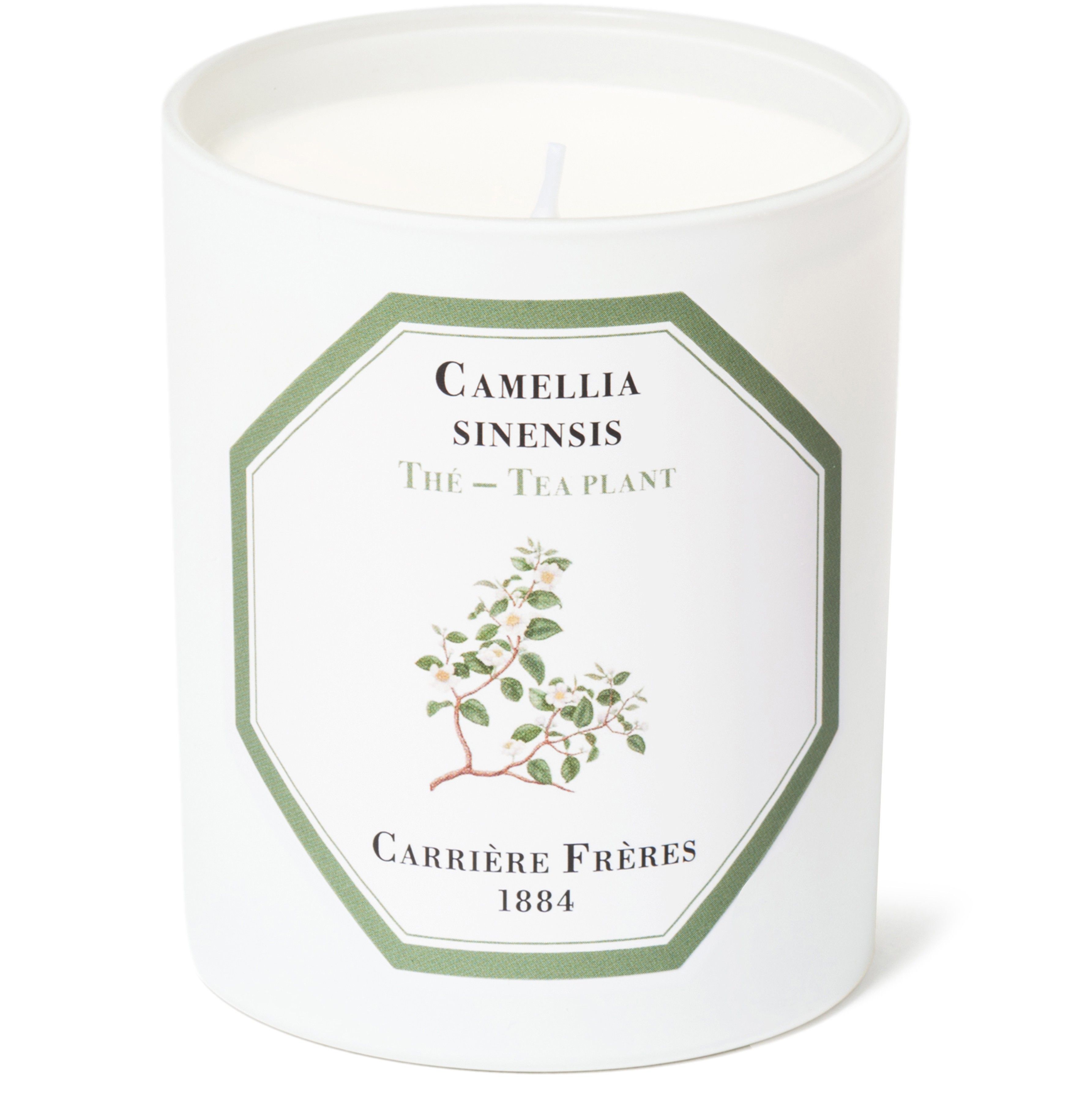 Scented Candle Tea Plant - Camellia Sinensis 185 g