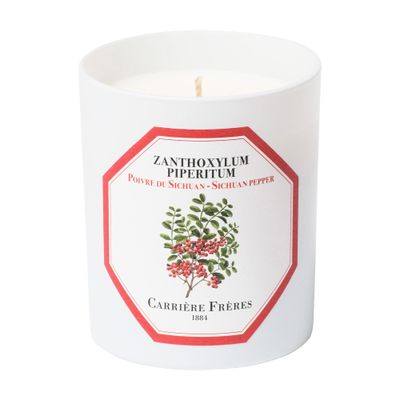 Carriere Freres Scented Candle Sichuan Pepper - Zanthoxylum Piperitum - 185 G In No_color