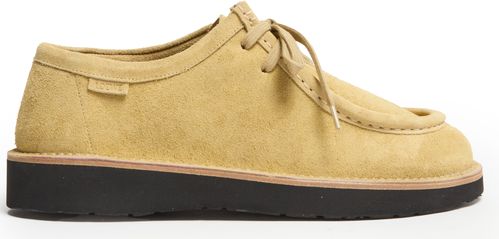 LOEWE Faro lace up shoes in suede calfskin