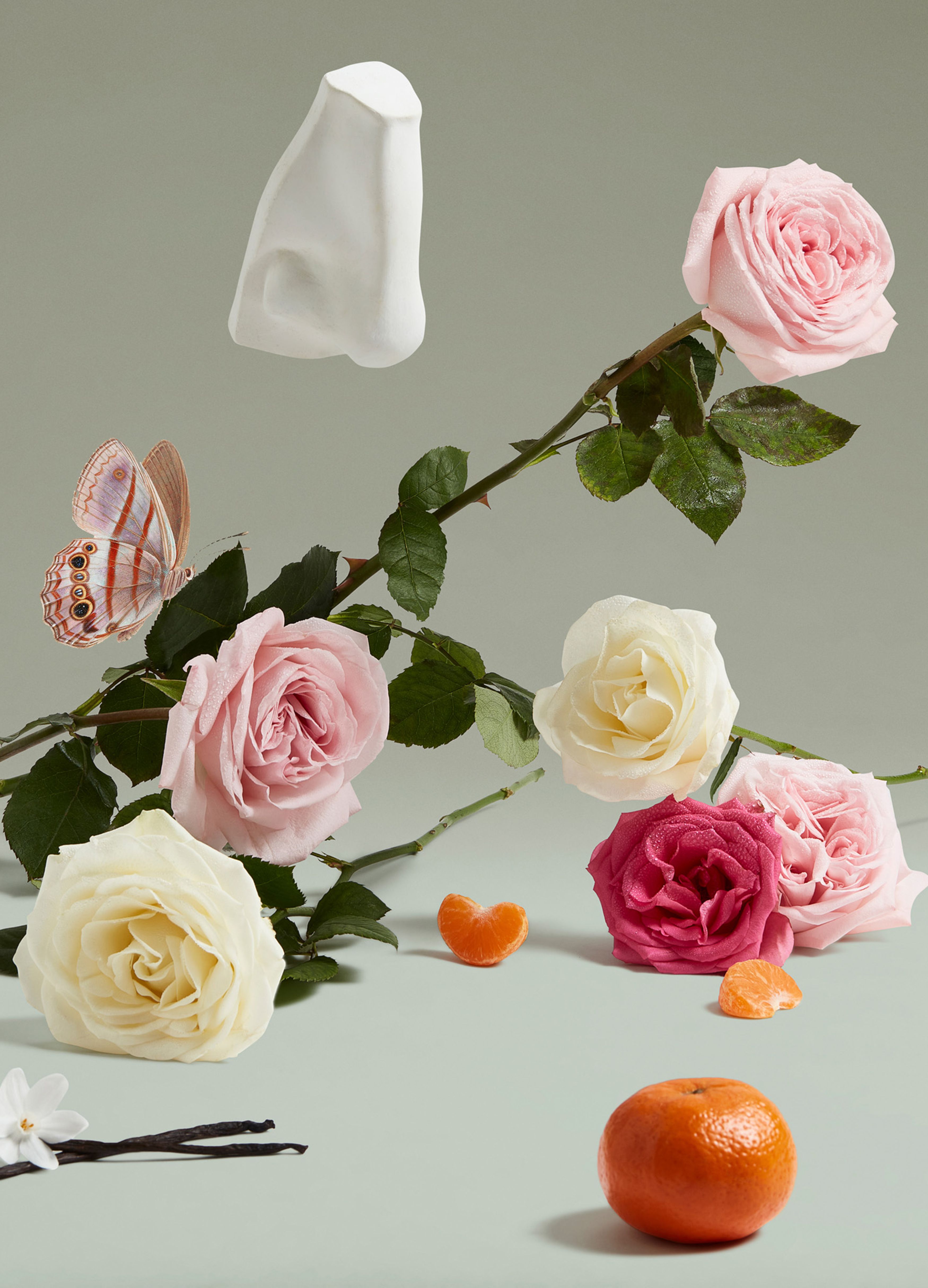 The Coveted Duchess Rose eau de parfum 75 ml thumbnail 5