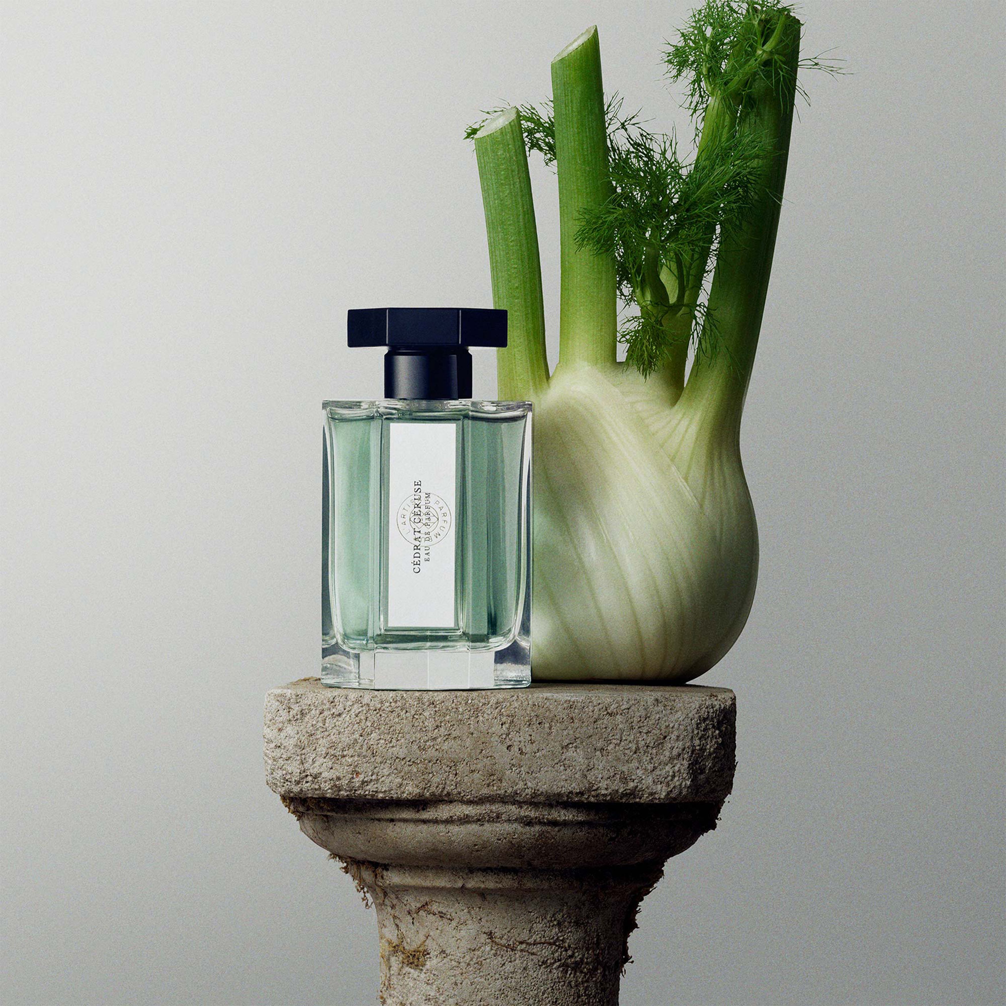 Cedrat Ceruse eau de cologne 100 ml thumbnail 6