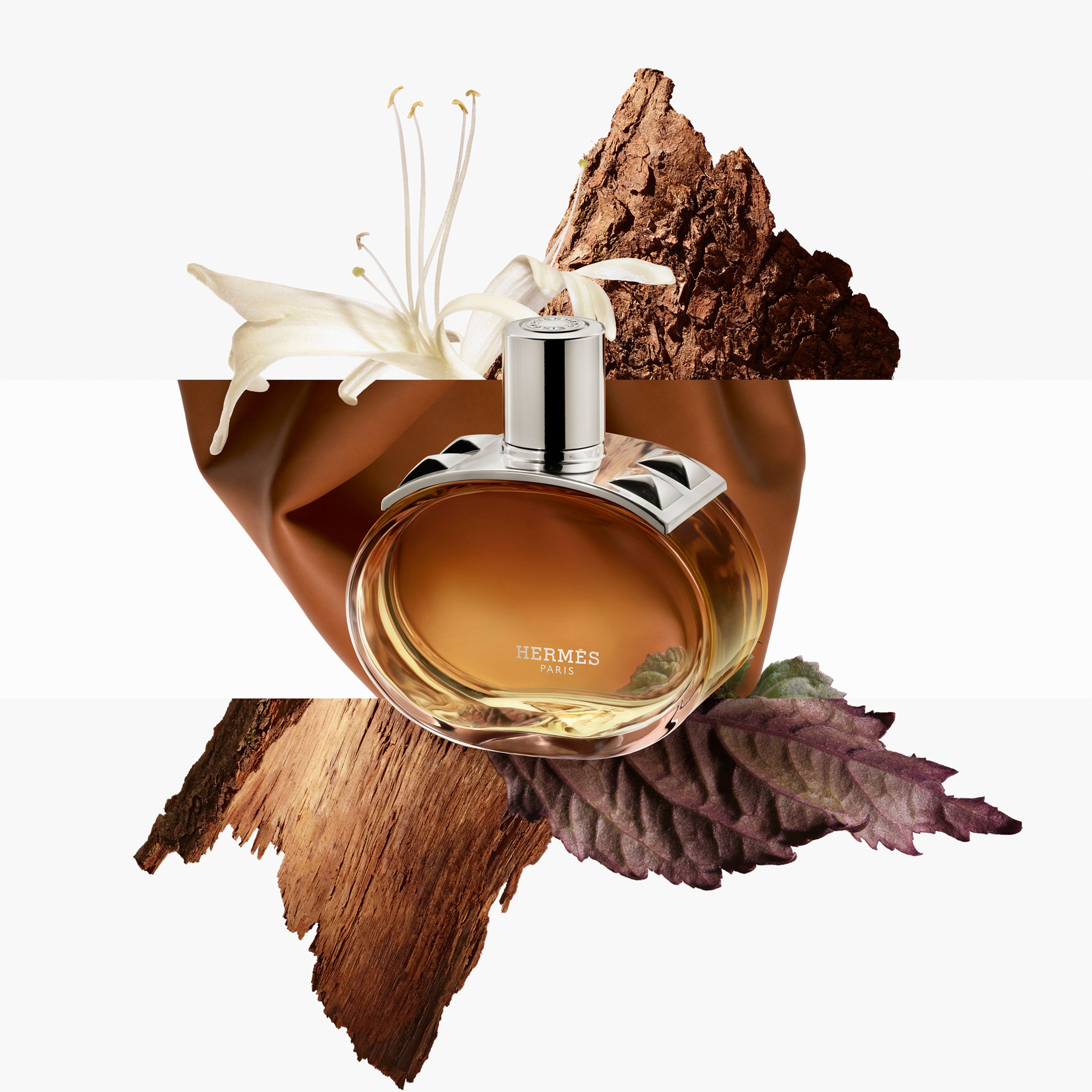 Barénia, Eau de Parfum Intense 100 ml thumbnail 7