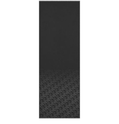 DIOR Écharpe Dior Gravity dégradé