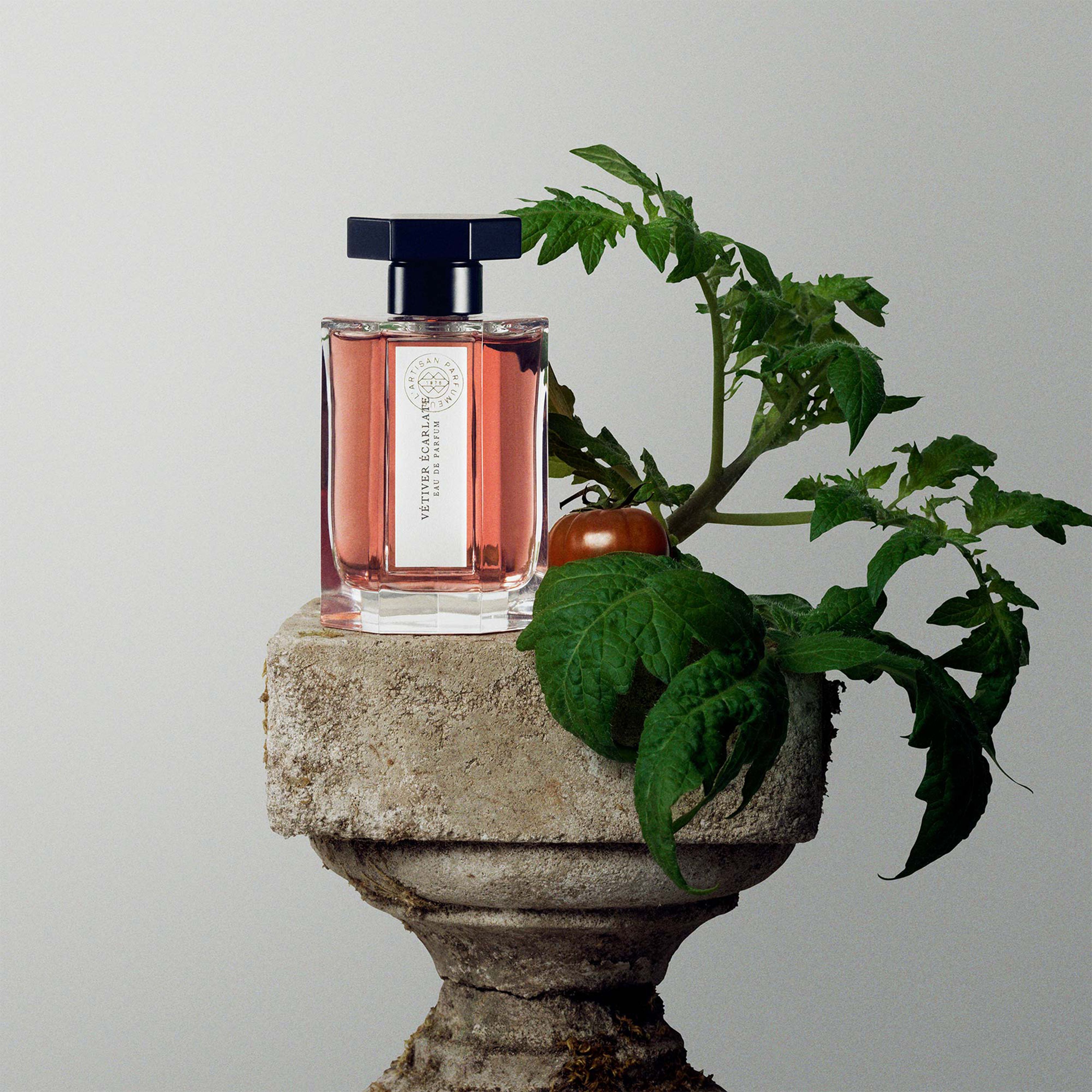 Vetiver Ecarlate eau de cologne 100 ml thumbnail 6