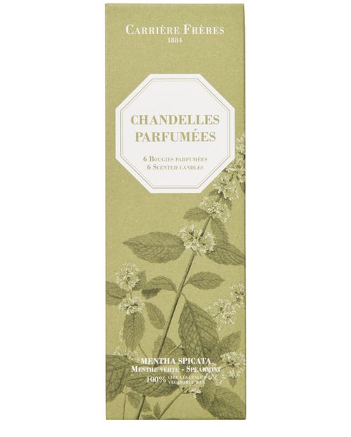 CARRIERE FRERES 6 Scented Taper Candles Spearmint
