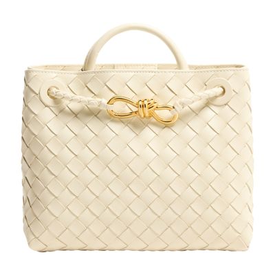 Bottega Veneta Andiamo Small Bag In Neutral