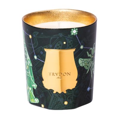 Trudon Fir Scented Candle 270 G In Green