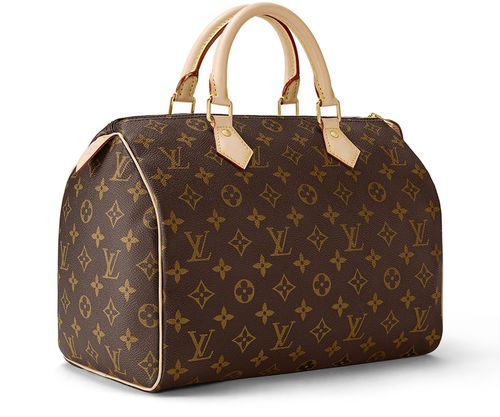 LOUIS VUITTON Speedy 30