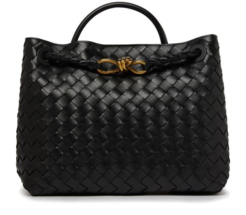 BOTTEGA VENETA Andiamo medium bag