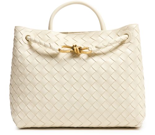 BOTTEGA VENETA Andiamo medium bag