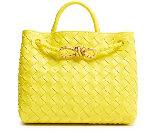 BOTTEGA VENETA Andiamo small bag