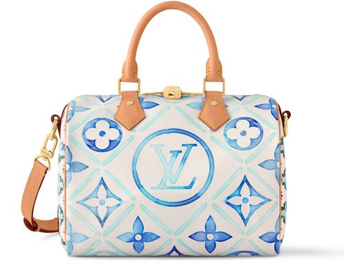 LOUIS VUITTON Speedy Bandoulière 25
