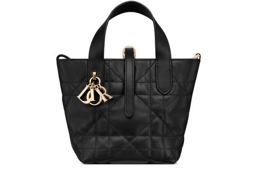 DIOR Dior Toujours Vertical Nano Tote Bag