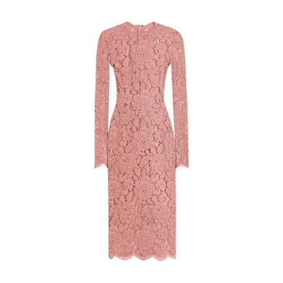 Dolce & Gabbana Women Branded Floral Cardonetto Lace Sheath Dress In Multicolor