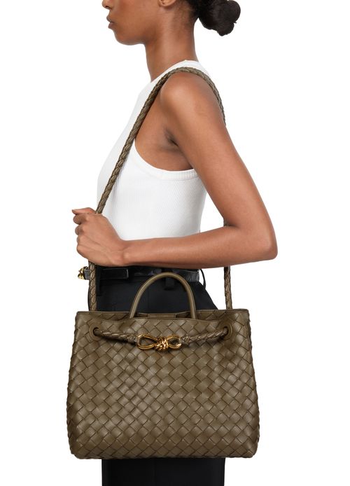 BOTTEGA VENETA Andiamo medium bag