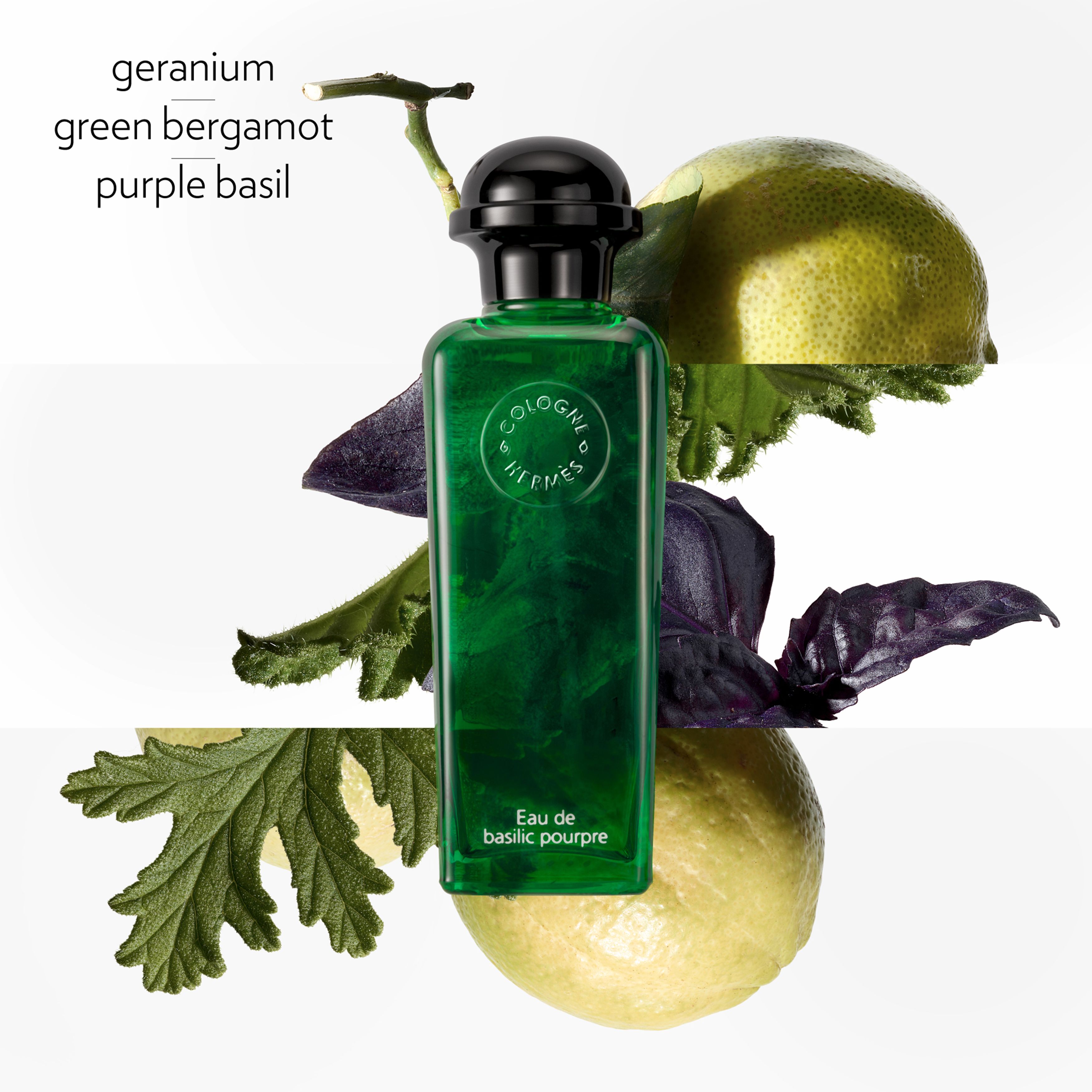 Eau de Basilic Pourpre, Eau de Cologne 100 ml thumbnail 6