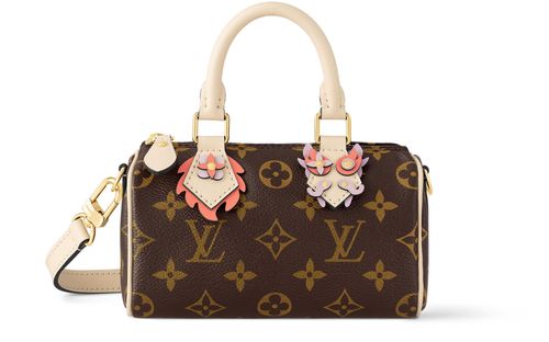 LOUIS VUITTON Nano Speedy