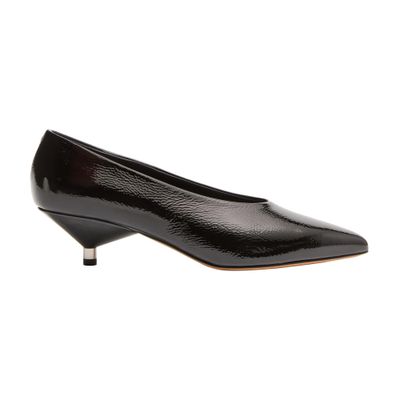 Isabel Marant Ebisa Pumps