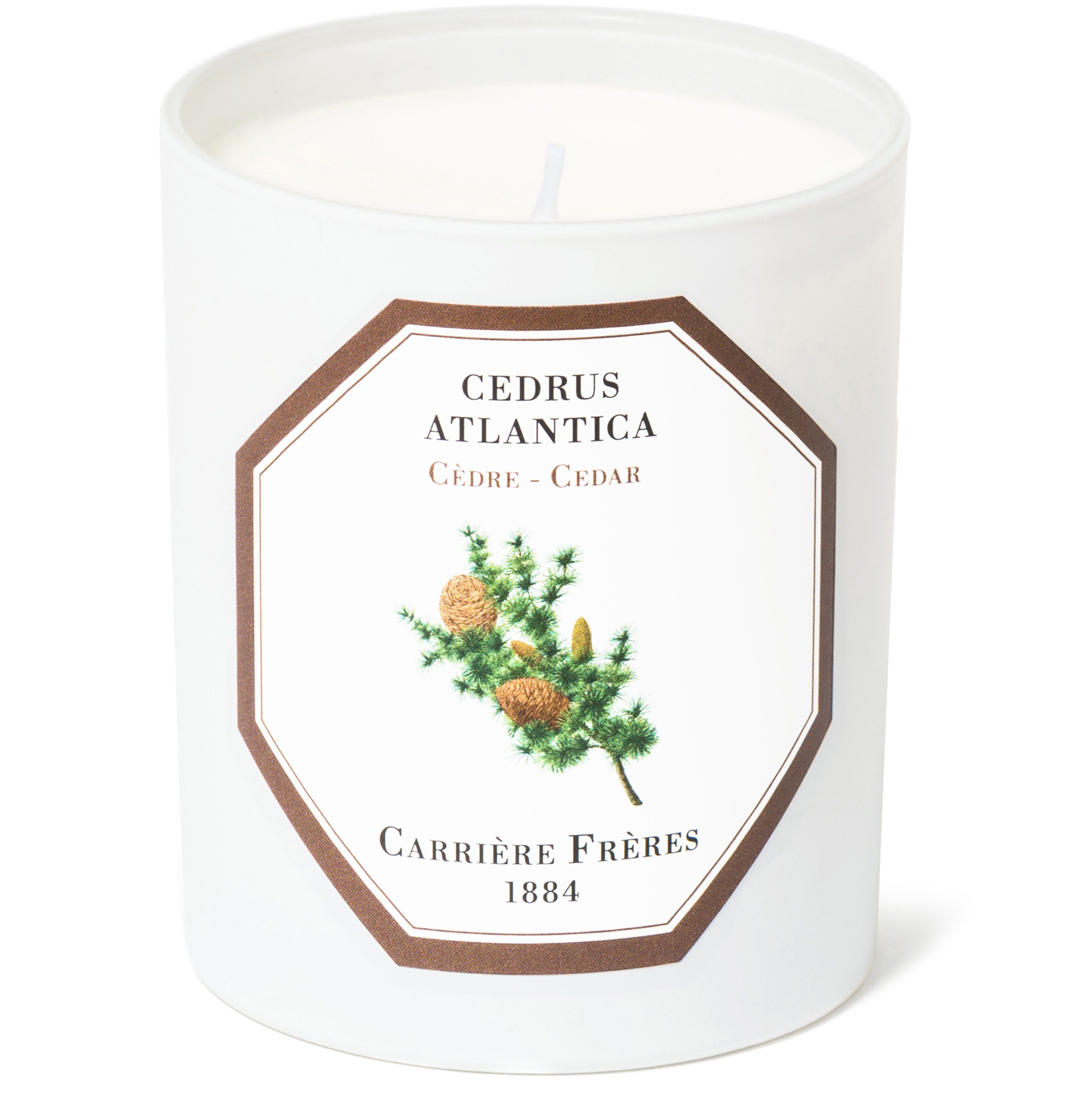 Scented Candle Cedar - Cedrus Atlantica 185 g
