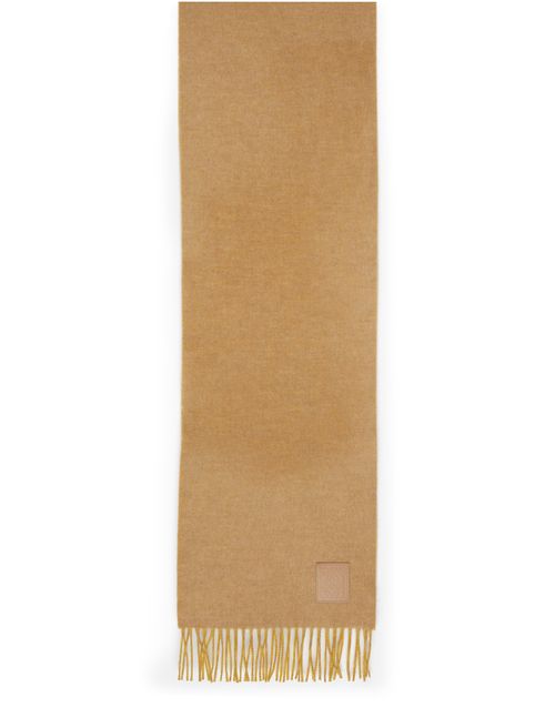 LOEWE Mohair and wool scarf