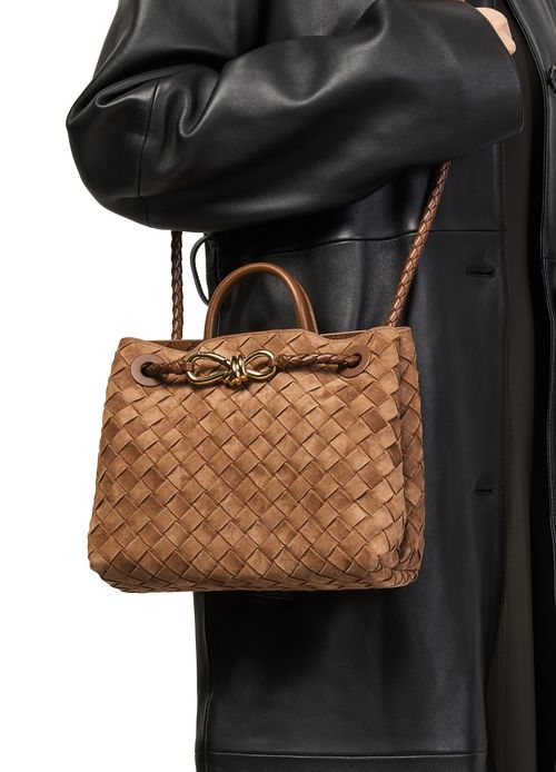 BOTTEGA VENETA Andiamo small bag
