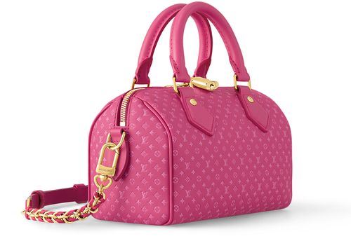 LOUIS VUITTON Speedy Bandoulière 20