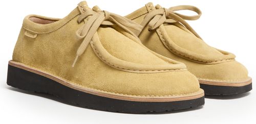 LOEWE Faro lace up shoes in suede calfskin
