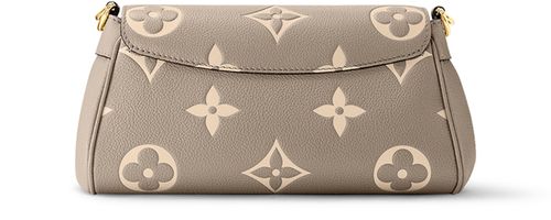 LOUIS VUITTON Favorite bag