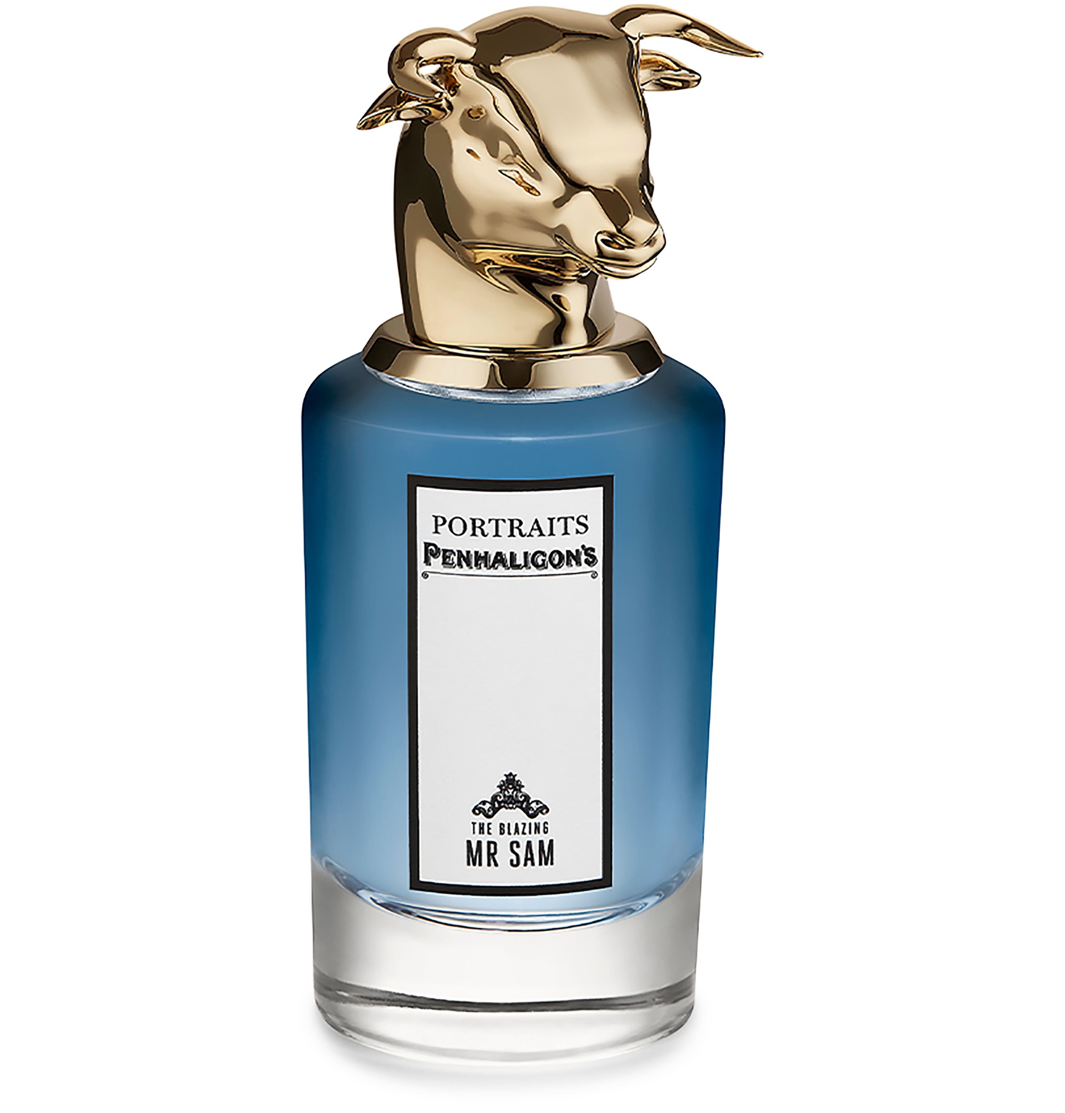The Blazing Mister Sam eau de parfum 75 ml