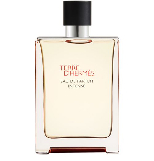 HERMÈS Terre d'Hermès, Eau de Parfum Intense 175 ml