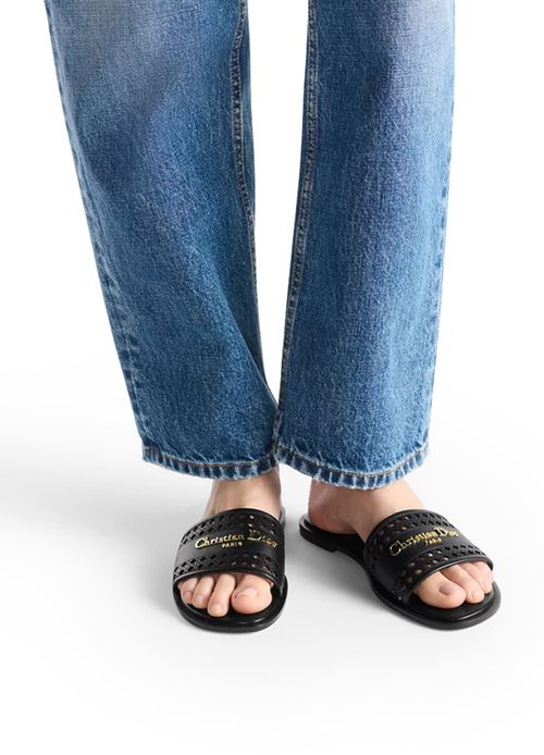 DIOR D-Lane Slide