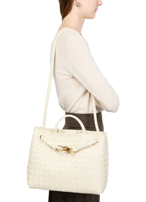 BOTTEGA VENETA Andiamo medium handbag
