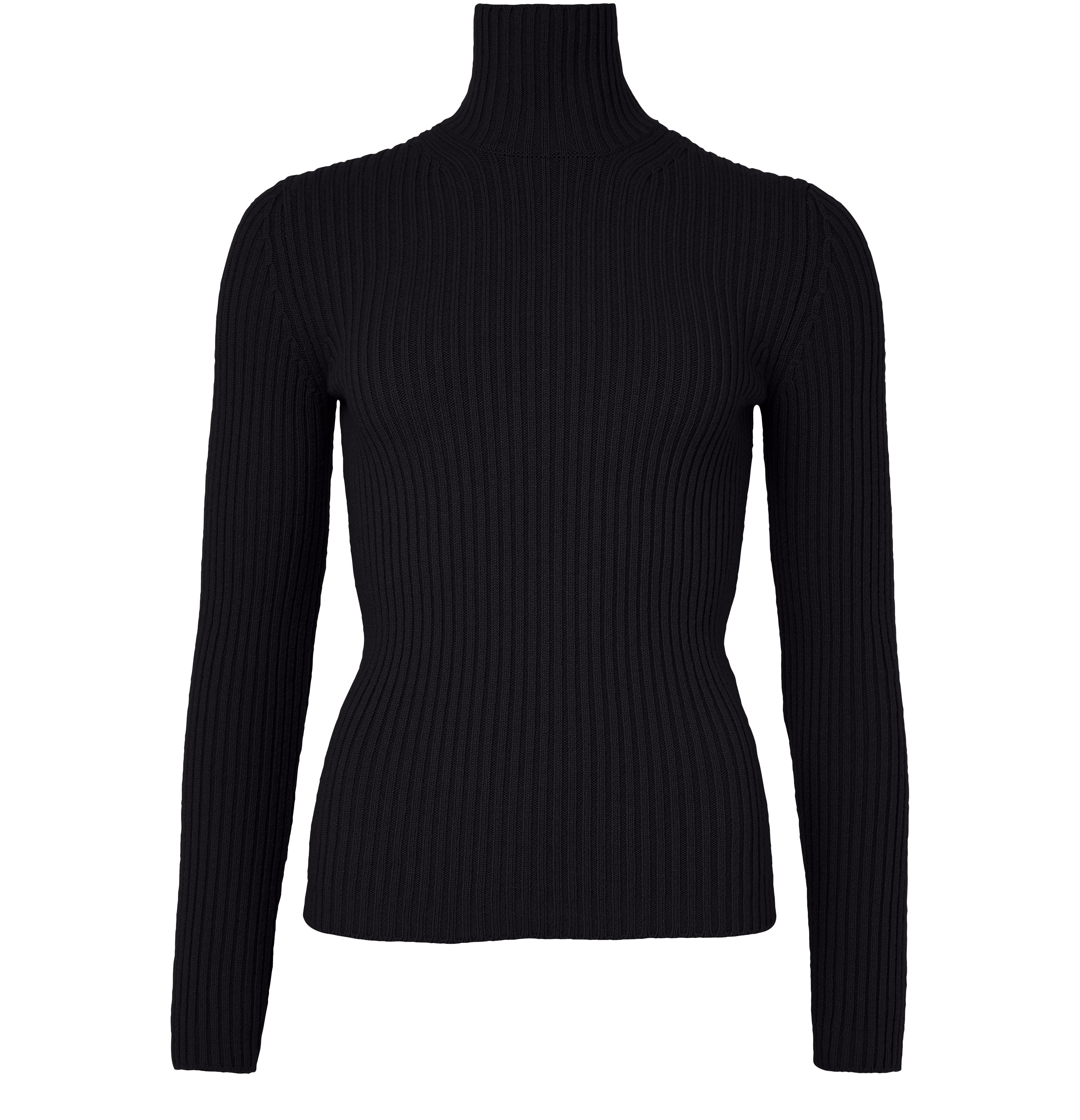Aral turtle neck sweater