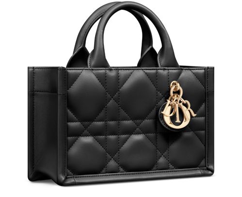 DIOR Mini Dior Book Tote