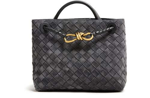 BOTTEGA VENETA Andiamo small bag